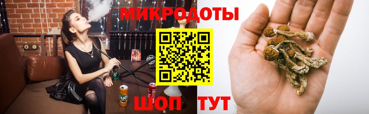 Псилоцибиновые грибы Psilocybine cubensis Аша